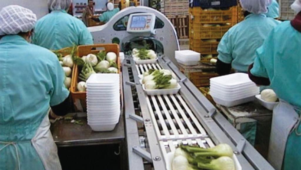 en-15593-gida-paketleme-ambalaj-kalite-yönetim-sistemi